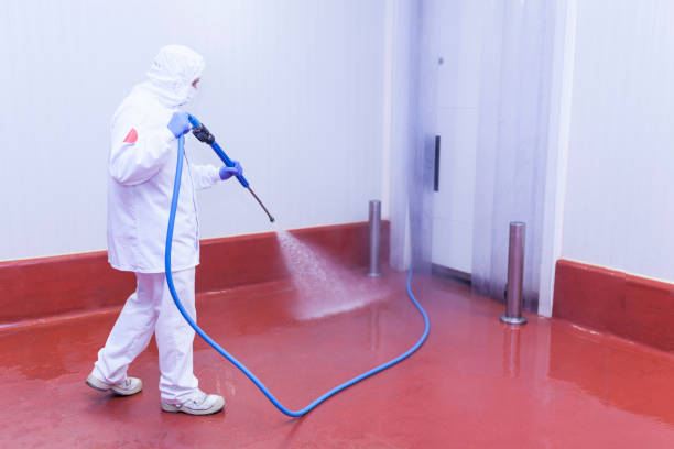 Best Winterizing Services  in The Meadows, FL
